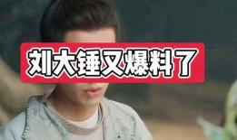 刘大锤爆料唐嫣视频,真相揭秘引网友热议